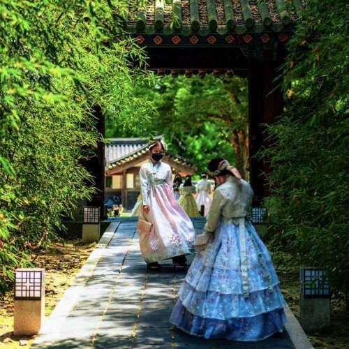 Korean Immersion Program