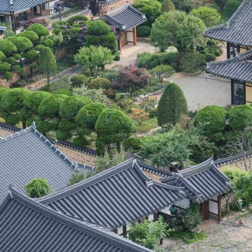 Learn Korean in Jeonju